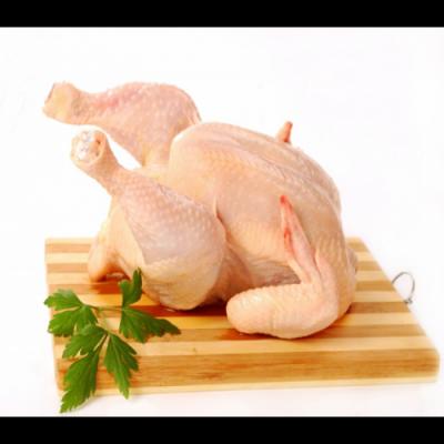 Nhà cung cấp thịt gà tươi TPHCM chất lượng